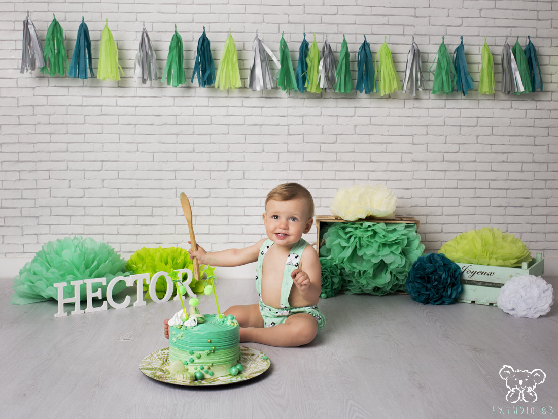 DIEGO, 1 AÑO. SESIÓN DE CUMPLEAÑOS EN BARCO DE AVILA (SALAMANCA)  - EXTUDIO 83 008